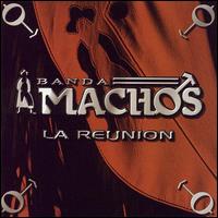 Reunion von Banda Machos