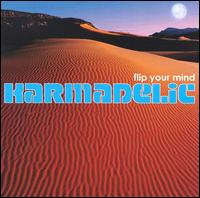 Flip Your Mind von Karmadelic