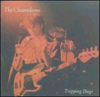 Tripping Dogs von The Chameleons UK