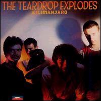 Kilimanjaro von The Teardrop Explodes