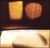 Unfair Kind of Fame von The Pastels