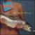 Gone Fishing von Downchild Blues Band