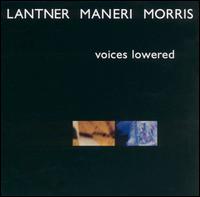 Voices Lowered von Steven Lantner