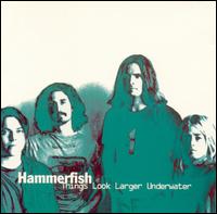 Things Look Larger Underwater von Hammerfish