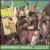 Hot Soca Hot von Arrow