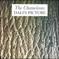 Dali's Picture von The Chameleons UK