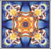 Liquid Quartz, Vol. 1 von Anthony Manning