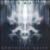 Synthetic Deity von Black Autumn