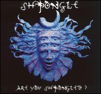 Are You Shpongled? von Shpongle