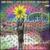Endangered Species von Jimmy Herring