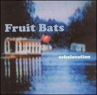 Echolocation von Fruit Bats
