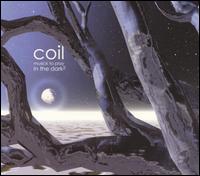 Musick to Play in the Dark 2 von Coil