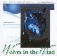 Wolves in the Wind von David Sun