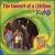 Concert of a Lifetime for Kids von Ray Boltz