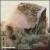 Greatest Hits von Electric Company