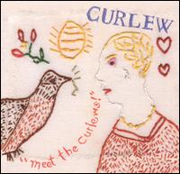 Meet the Curlews! von Curlew