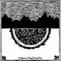 Organic Mind Solution von The Spacious Mind
