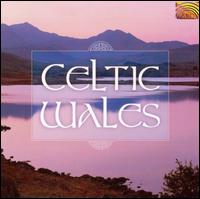 Celtic Wales von Various Artists