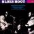 Blues Hoot von Lightnin' Hopkins
