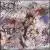 Lacerate the Sky von Arson