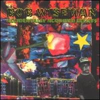 Accidentally Acquired Beliefs von Bob Wiseman