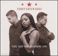 You Got Me Burning Up [CD/12"] von Funky Green Dogs