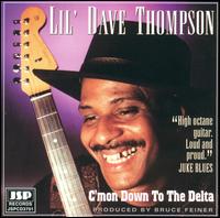 C'mon Down to the Delta von Dave Thompson