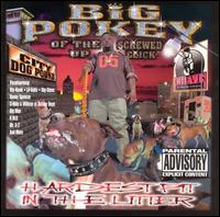 Hardest Pit in the Litter von Big Pokey