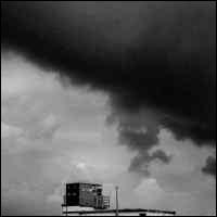 Stormwatcher von Peter Chilvers