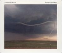 Dangerous Bend von Amnon Wolman