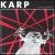 Action Chemistry von Karp