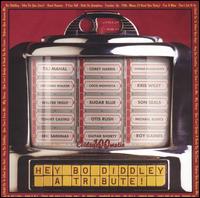 Hey Bo Diddley: A Tribute! von Various Artists