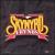 Skynyrd Frynds von Various Artists