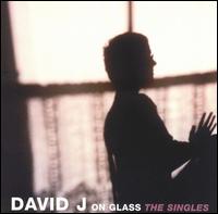 On Glass: The Singles von David J