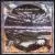 Nightrider von Charlie Daniels