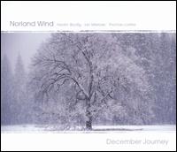 December Journey von Thomas Loefke