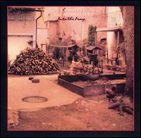 Into the Fray von Country Joe McDonald