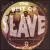 Stellar Fungk: The Best of Slave von Slave