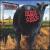 Dude Ranch von blink-182