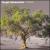 Time von Hugh Masekela