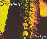 It's All You von Sebadoh