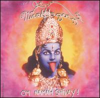 Om Namah Shivay von Nina Hagen
