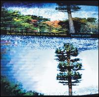 Networks, the Circuits, the Streams, the Harmonies von Burnside Project