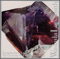 Luminous Axis von Wadada Leo Smith