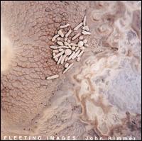 Fleeting Images von John Rimmer