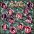 Te Canto Navidad von Various Artists