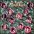 Te Canto Navidad von Various Artists
