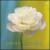 Planotherapy von Richard Evans