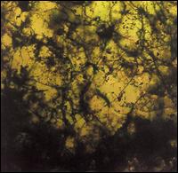 Benthic von Ian Davis