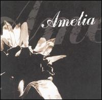Somewhere Left to Fall von Amelia